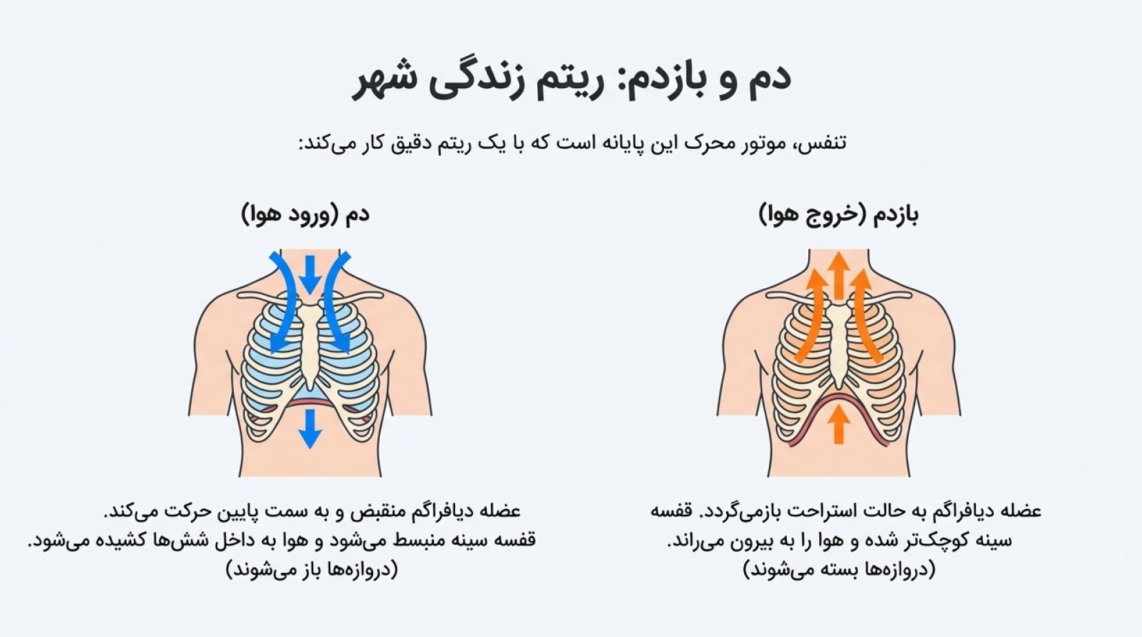 درسنامه فصل 15 علوم هفتم (تبادل با محیط)